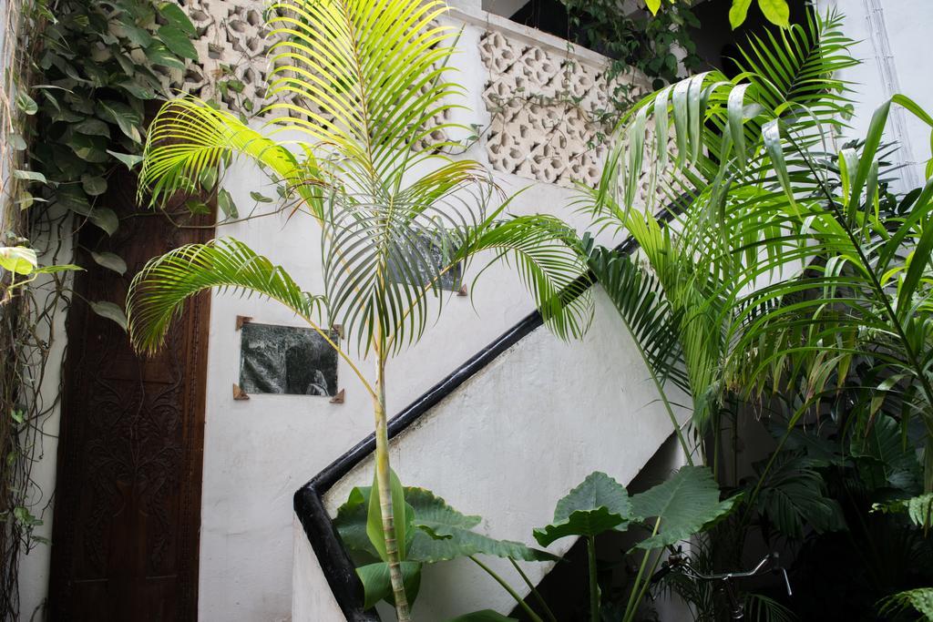 Malindi Guest House Zanzibar Exterior photo