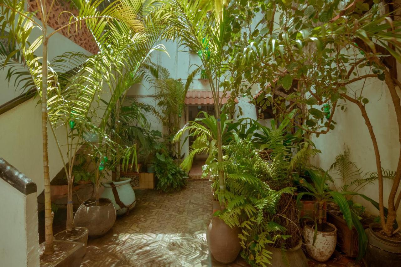 Malindi Guest House Zanzibar Exterior photo