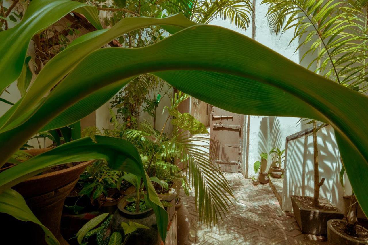 Malindi Guest House Zanzibar Exterior photo